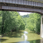 What Should Wayne County Residents Know About the Twelvepole Creek Water Contamination