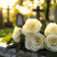 What Damages Can I Recover Under West Virginia's Wrongful Death Act?